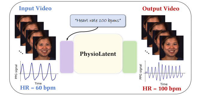 physiolatent_teaser.png